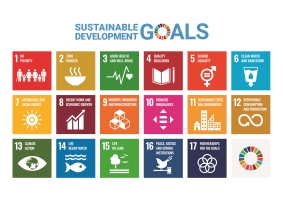 UN SDG single picture of all sustainable development goals